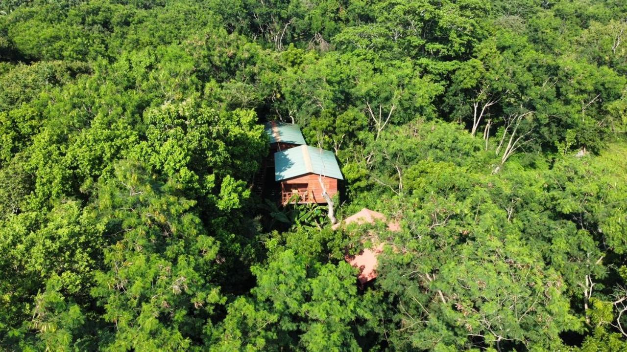 Tree House Hostel Сигирия Экстерьер фото