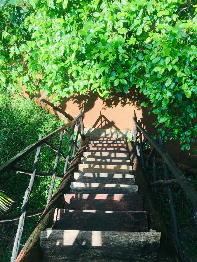 Tree House Hostel Сигирия Экстерьер фото