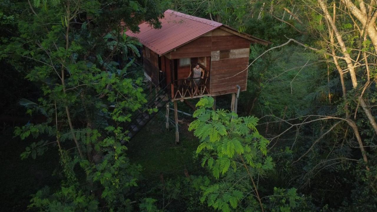 Tree House Hostel Сигирия Экстерьер фото