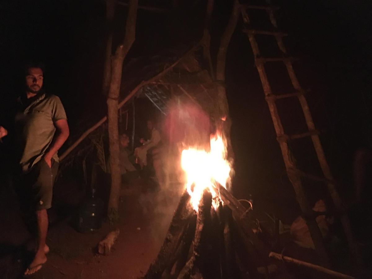 Tree House Hostel Сигирия Экстерьер фото
