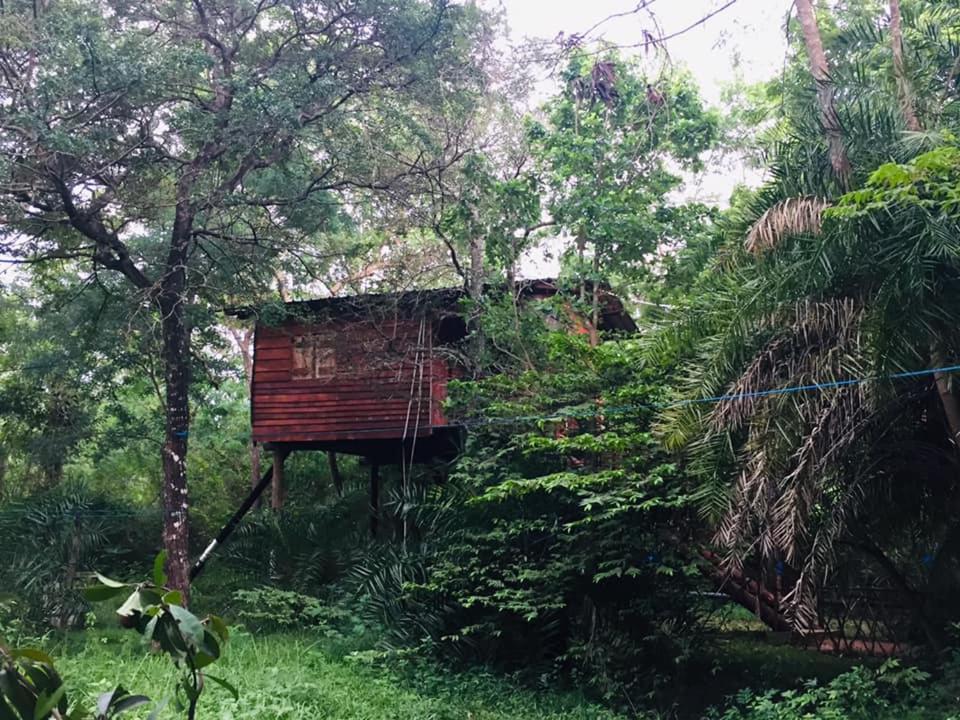 Tree House Hostel Сигирия Экстерьер фото