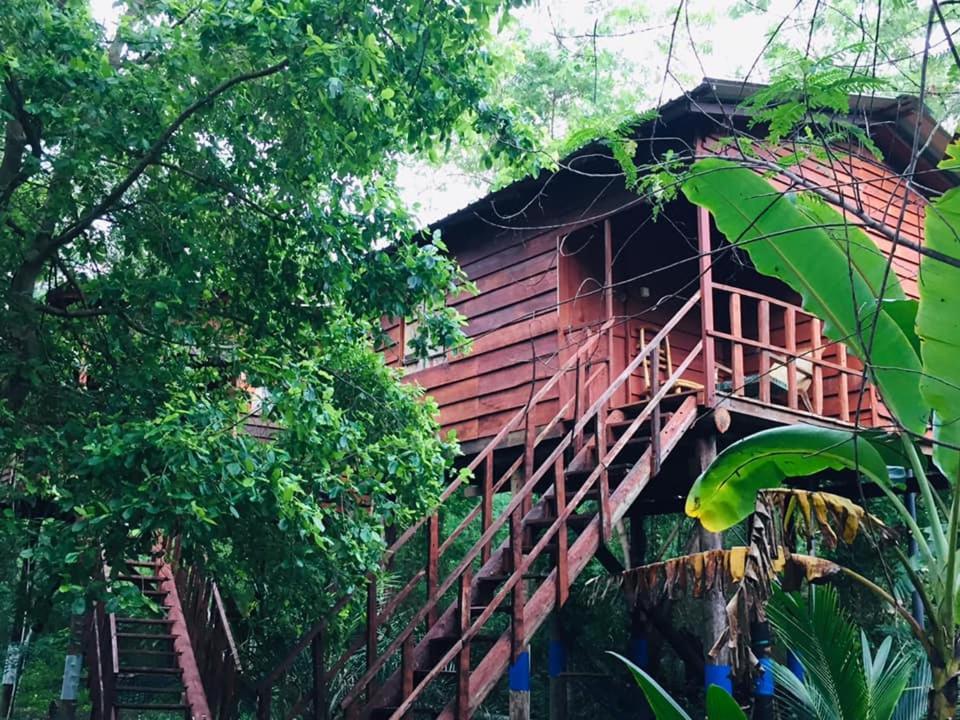 Tree House Hostel Сигирия Экстерьер фото