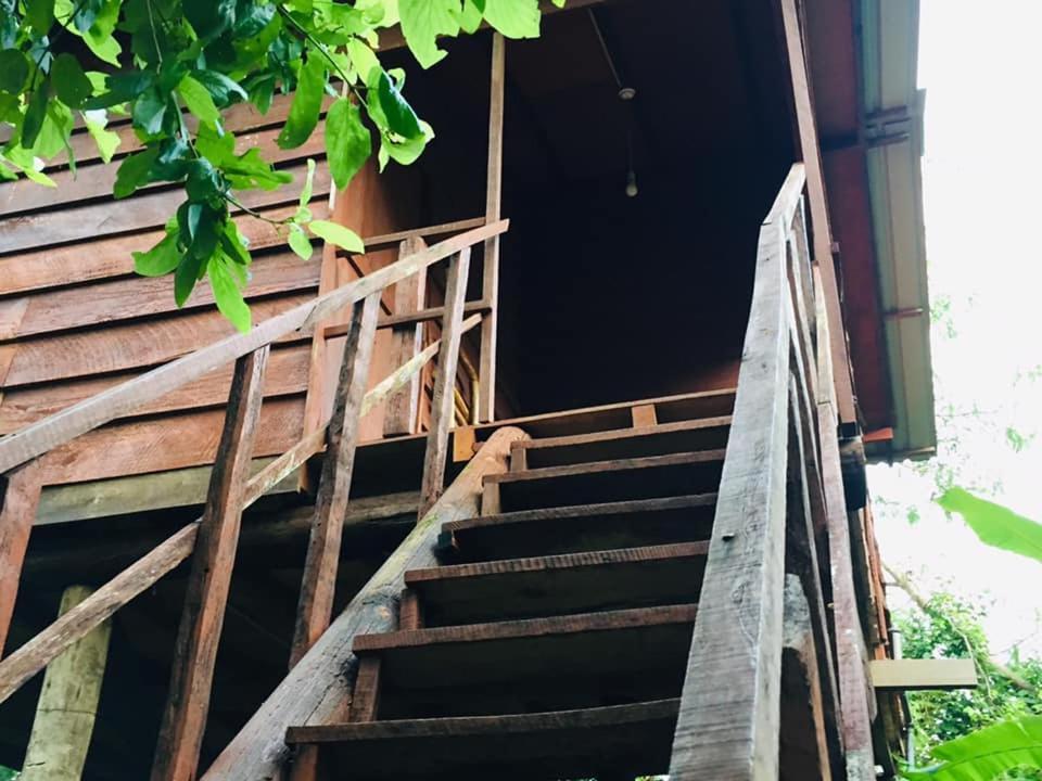 Tree House Hostel Сигирия Экстерьер фото