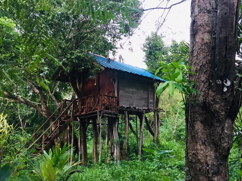 Tree House Hostel Сигирия Экстерьер фото