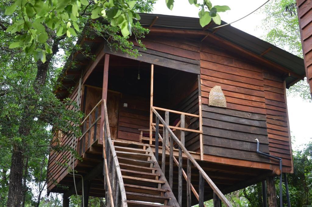 Tree House Hostel Сигирия Экстерьер фото